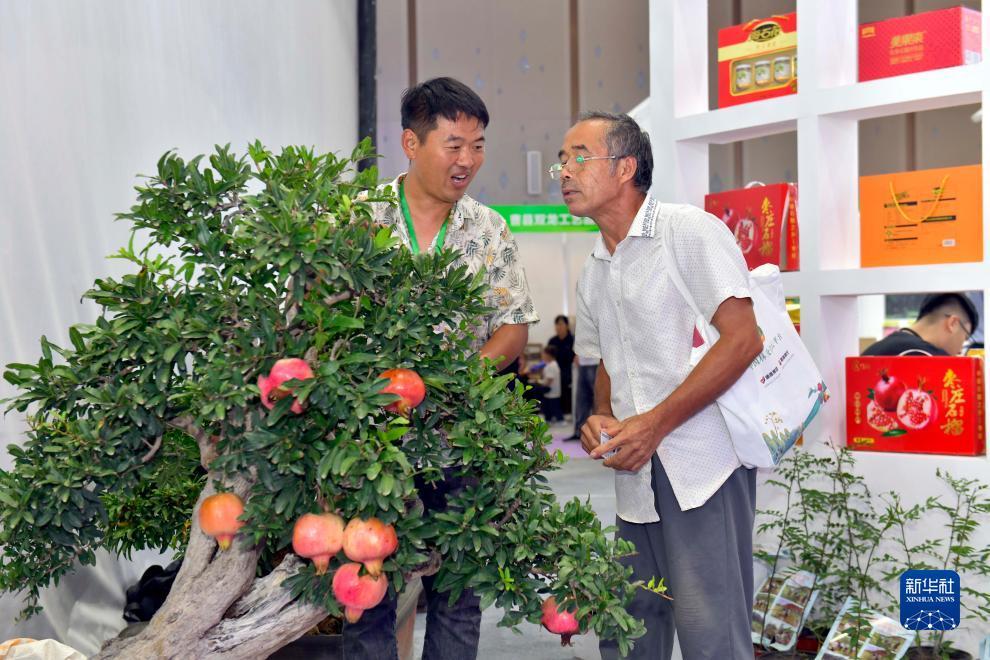大奖网触屏版旧版